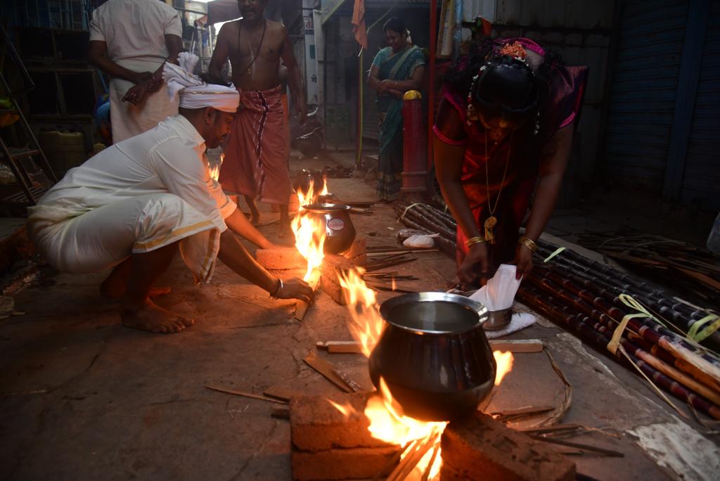 The Pongal festival begins on January 15, which marks the last day of the Tamil month called 'Marghazi'. The first day of the festival is called Bhogi Pongal. The festival is observed over the span of four days